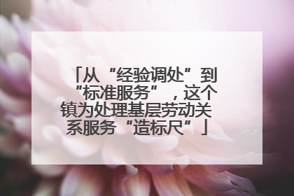从“经验调处”到“标准服务”，这个镇为处理基层劳动关系服务“造标尺”